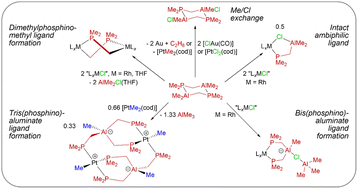 Graphical abstract: Coordination chemistry and structural rearrangements of the Me2PCH2AlMe2 ambiphilic ligand