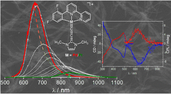 Graphical abstract: Aggregation of phosphorescent Pd(ii) and Pt(ii) complexes with lipophilic counter-anions in non-polar solvents