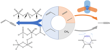 Graphical abstract: Light hydrocarbon conversion to acrylonitrile and acetonitrile – a review