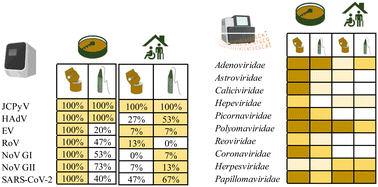 Graphical abstract: Effectiveness of passive sampling for the detection and genetic characterization of human viruses in wastewater