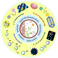 Graphical abstract: Striding the threshold of photocatalytic lignin-first biorefining via a bottom-up approach: from model compounds to realistic lignin