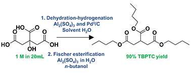 Graphical abstract: Efficient two-step production of biobased plasticizers: dehydration-hydrogenation of citric acid followed by Fischer esterification