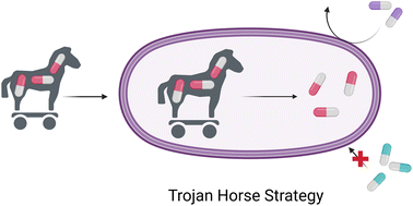 Graphical abstract: Siderophore conjugates to combat antibiotic-resistant bacteria