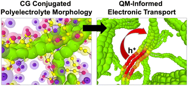 Graphical abstract: Electron and ion transport in semi-dilute conjugated polyelectrolytes: view from a coarse-grained tight binding model