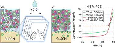 Graphical abstract: What is special about Y6; the working mechanism of neat Y6 organic solar cells