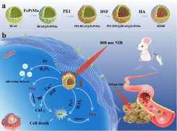 Graphical abstract: A dual gate-controlled intelligent nanoreactor enables collaborative precise treatment for cancer nanotherapy