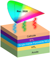 Graphical abstract: Recent progress of single-halide perovskite nanocrystals for advanced displays