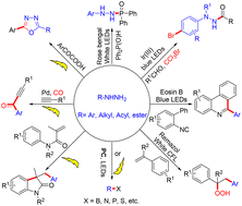 Graphical abstract: Radical coupling reactions of hydrazines via photochemical and electrochemical strategies