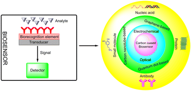 Graphical abstract: Diagnosis of cancer using carbon nanomaterial-based biosensors