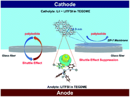 Graphical abstract: A metal–organic framework-modified separator enables long cycling lithium-ion capacitors with asymmetric electrolyte design