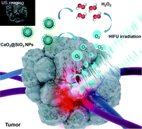 Graphical abstract: Bubble-assisted HIFU ablation enabled by calcium peroxide