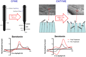 Graphical abstract: Electrochemical treatment in KOH improves carbon nanomaterial performance to multiple neurochemicals