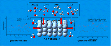 Graphical abstract: Application of surface-enhanced Raman scattering to qualitative and quantitative analysis of arsenic species