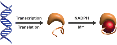 Graphical abstract: Cloneable inorganic nanoparticles