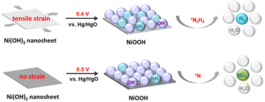 Graphical abstract: Local tensile strain boosts the electrocatalytic ammonia oxidation reaction