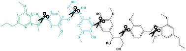 Graphical abstract: Ruthenium ion catalysed C–C bond activation in lignin model compounds – towards lignin depolymerisation