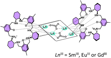Graphical abstract: Solid state structures and solution behaviour of tetranuclear lanthanide(iii) carbonate-bridged coordination compounds of chiral 3 + 3 amine macrocycle