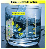 Graphical abstract: Photocatalytic and photoelectrocatalytic degradation of perfluorooctanoic acid by immobilised ZnO nanoparticles using electrophoretic deposition