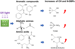 Graphical abstract: Probing into the mechanisms of disinfection by-product formation from natural organic matter and model compounds after UV/chlorine treatment