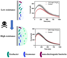 Graphical abstract: Effects of long-term and incremental exposure to toxic pollutants on the current generation and microbial communities of electrochemically active bacteria