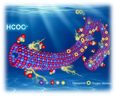 Graphical abstract: Unlocking nanotubular bismuth oxyiodide toward carbon-neutral electrosynthesis