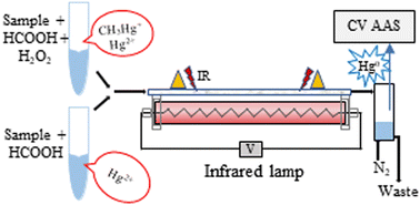 Graphical abstract: Infrared radiation-assisted thermochemical vapor generation for mercury speciation by atomic absorption spectrometry