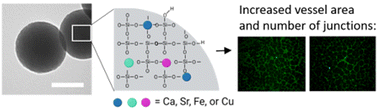 Graphical abstract: Laser-based ion doping is a suitable alternative to dope biologically active ions into colloidal bioglass nanoparticles