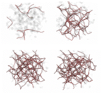 Graphical abstract: Crosslinker energy landscape effects on dynamic mechanical properties of ideal polymer hydrogels