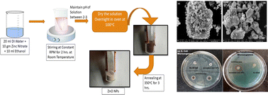 Graphical abstract: Photoluminescence and antibacterial performance of sol–gel synthesized ZnO nanoparticles