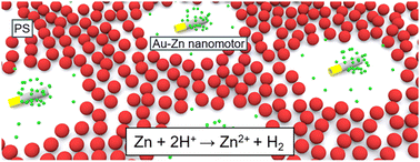 Graphical abstract: Adaptive particle patterning in the presence of active synthetic nanomotors