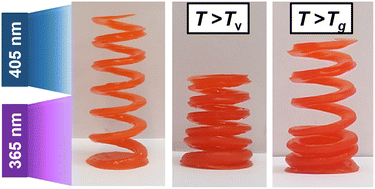 Graphical abstract: The effect of photolatent catalysts on the exchange kinetics of dual-wavelength 3D printable and photopatternable thiol-click vitrimers