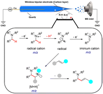 Graphical abstract: Fragile intermediate identification and reactivity elucidation in electrochemical oxidative α-C(sp3)–H functionalization of tertiary amines