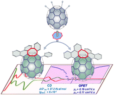 Graphical abstract: Buckybowl and its chiral hybrids featuring eight-membered rings and helicene units