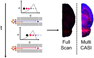Graphical abstract: Multiple ion isolation and accumulation events for selective chemical noise reduction and dynamic range enhancement in MALDI imaging mass spectrometry