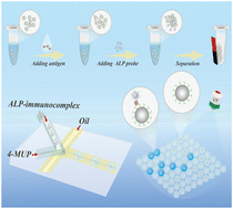 Graphical abstract: Microfluidic magnetic droplet-based chemiluminescence enzyme immunoassay for multiplex sepsis biomarker screening