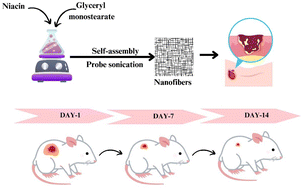Graphical abstract: Overcoming drug delivery challenges with lipid-based nanofibers for enhanced wound repair
