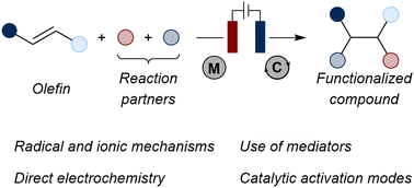 Graphical abstract: Navigating electrochemical oxidative functionalization of olefins: selected mechanistic and synthetic examples