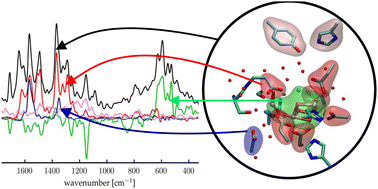 Graphical abstract: Unravelling Mn4Ca cluster vibrations in the S1, S2 and S3 states of the Kok–Joliot cycle of photosystem II