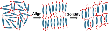 Graphical abstract: Liquid crystals as solid-state templates