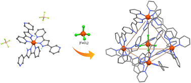 Graphical abstract: Self-assembly of a supramolecular spin-crossover tetrahedron