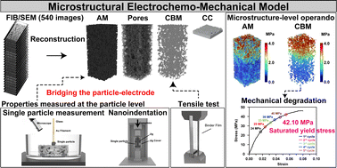 Graphical abstract: A microstructural electrochemo-mechanical model of high-nickel composite electrodes towards digital twins to bridge the particle and electrode-level characterizations