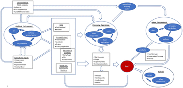 Graphical abstract: Evidence mapping and scoping review of pathways for potential dietary exposure to per- and poly-fluoroalkyl substances (PFAS)