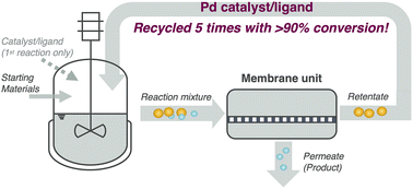 Graphical abstract: Recovery and reuse of homogeneous palladium catalysts via organic solvent nanofiltration: application in the synthesis of AZD4625