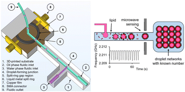 Graphical abstract: 3D-printed microfluidic–microwave device for droplet network formation and characterisation