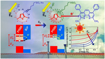 Graphical abstract: Dielectric-constant effects on the exciton dissociation and photovoltaic conversion efficiency of water-soluble green conducting polymers