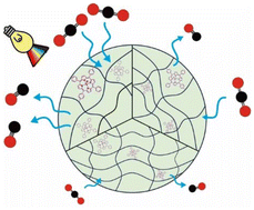 Graphical abstract: Effects of the cross-linked structures of polymer gels containing iron porphyrins on photoreduction of carbon dioxide