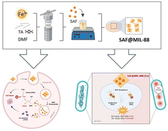 Graphical abstract: Synthesis and characterization of safranal@MIL-88B(Fe) nanostructures and their preliminary anticancer and antibacterial characteristics