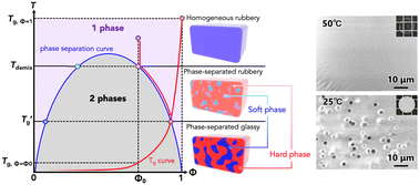 Graphical abstract: Phase separation-induced glass transition under critical miscible conditions