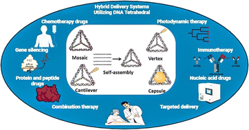 Graphical abstract: Revolutionizing cancer therapy using tetrahedral DNA nanostructures as intelligent drug delivery systems