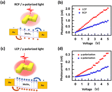 Graphical abstract: Multiple-polarization-sensitive photodetector Based on a plasmonic metasurface